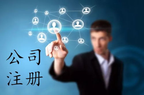 上海軟件公司注冊(cè)全攻略 流程、費(fèi)用與網(wǎng)絡(luò)技術(shù)服務(wù)指南